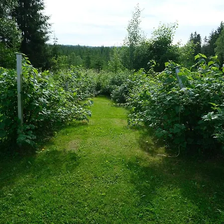 Perfect For Business And Leisure In Raufoss