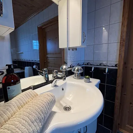 Apartament Perfect For Business And Leisure In *