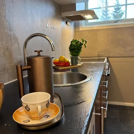 Perfect For Business And Leisure In Apartament Raufoss